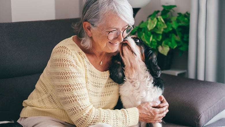 LOW-AdobeStock_638405915