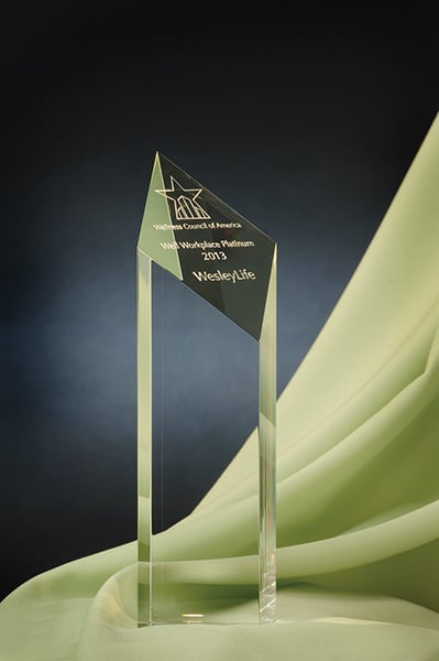 WesleyLife sets pace for employer wellness through Platinum Well Workplace Award by Wellness Councils of America
